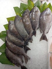 photo of fresh fish arranged to attract buyers in a supermarket
