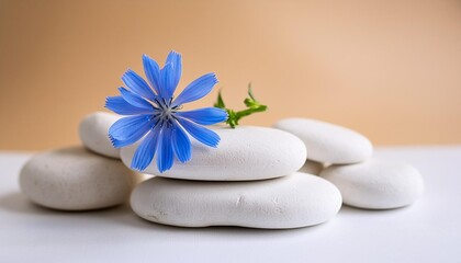 white stones platform podium blue flower on beige light background minimal empty display product presentation scene