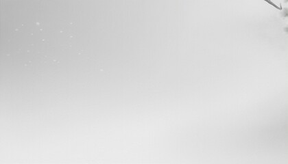 Frosty Winter Floral Wallpaper with White Flowers on Black Background