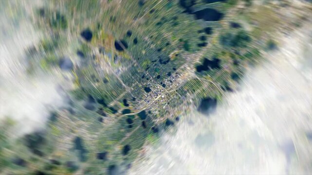 Zoom from space on Orlando - Florida - USA - Zoon In