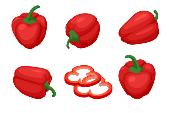 Isometric red bell peppers are fresh vegetables commonly used in salads. They add crunch, and a mild, sweet flavour to dishes. Red pepper is a vibrant vegetable used in cooking.