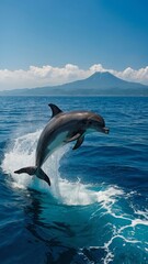 Fototapeta premium Dolphin jumping out of the ocean with mountain and clouds in the background on a sunny day