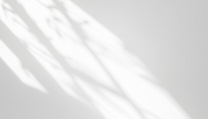 Obraz premium Window natural shadow overlay effect on white texture background, for overlay on product presentation, backdrop and mockup