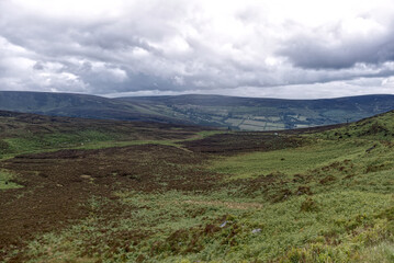 Ireland - Bog Landscape by Lough Bray