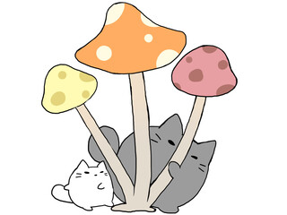 きのこチラリねこ