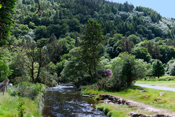 Ireland - River in Glendalough