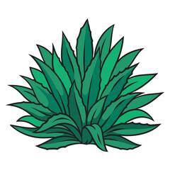 Agave plant tequila ingredient pinup pop art retro PNG illustration. Comic book style imitation.