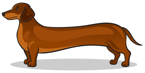 very long dachshund dog pinup pop art retro PNG illustration. Comic book style imitation.
