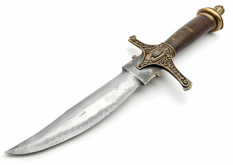 Detailed close-up of a vintage dagger with an ornate handle and a shiny blade, showcasing craftsmanship and historical weaponry.