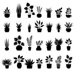 Vector illustration. Large set of flower plants in pots. Silhouette big set.	
