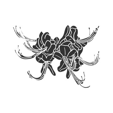 black spider lilies on white background clip art preview