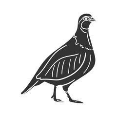 Bobwhite Quail Icon Silhouette Illustration. Vector Graphic Pictogram Symbol Clip Art. Doodle Sketch Black Sign.