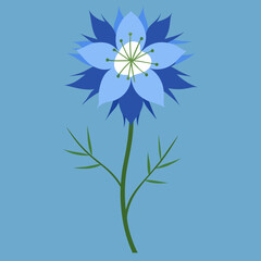 Botanical Beauty Love-in-a-Mist Flower Vector Art