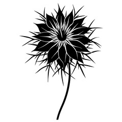 Botanical Beauty Love-in-a-Mist Flower Vector Art