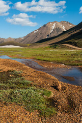 Highland, in Iceland