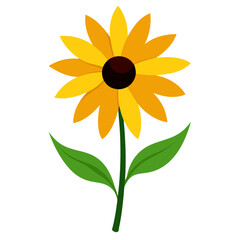 Vibrant Rudbeckia Flower Vector Illustration Capturing Nature's Beauty