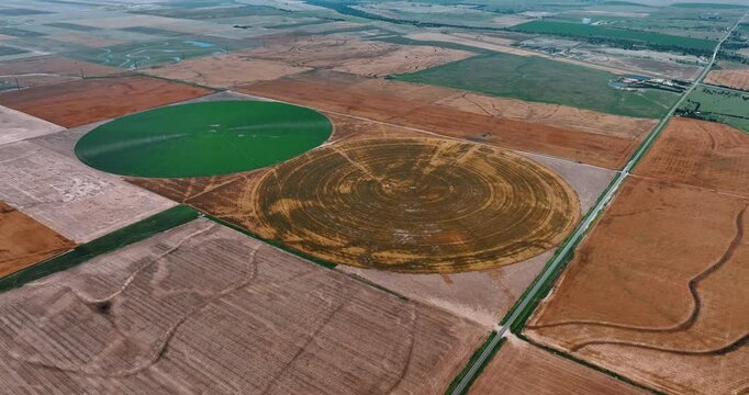 Center pivot irrigation farms on the vast agricultural plantations. Top view on the circle fields with and without vegetation.