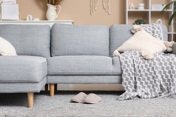 Soft slippers on floor in living room