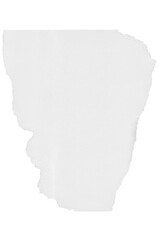 White Torn paper piece isolated on background ripped Vector illustration