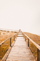 boardwalk in the dunes