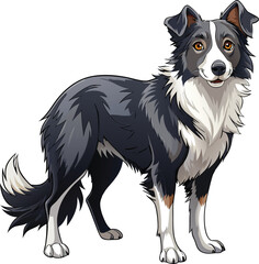 Fototapeta premium Playful Border Collie captured in pencil sketch. 