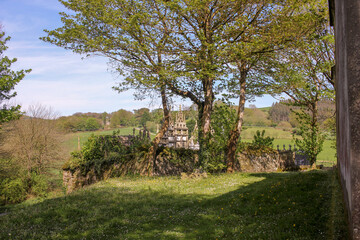 a cemetery in the middle of nature
