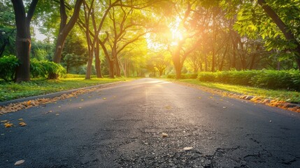 Obraz premium Asphalt road in park with sunrise backdrop