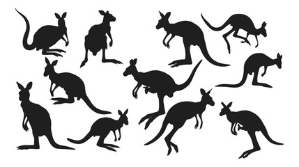 Fototapeta premium Kangaroo silhouettes set Vector