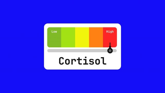 cortisol animated bar speedometer measuring low to high with chroma blue screen background