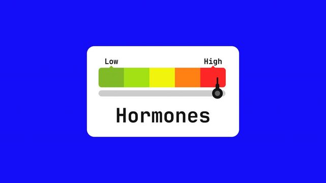 hormones animated bar speedometer measuring low to high with chroma blue screen background