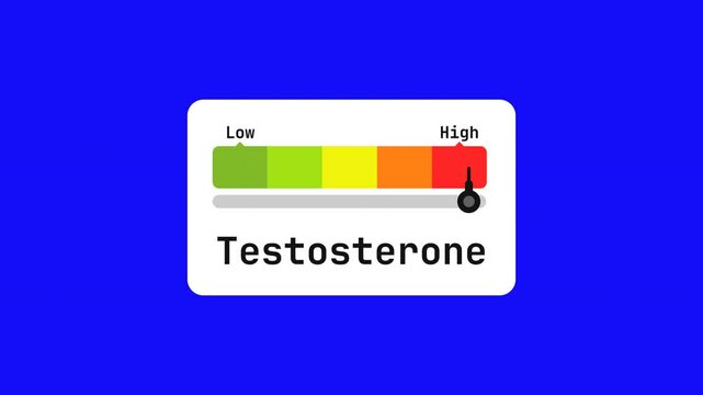 testosterone animated bar speedometer measuring low to high with chroma blue screen background