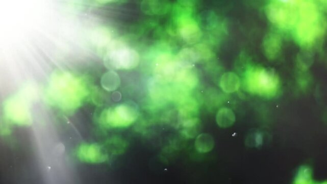 A small dust flies in the air in nature in the moving rays of the bright sun against the background of the bokeh of green tree leaves. 4k slow motion loop video. Beautiful summer background.