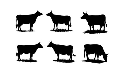 Cow different poses silhouettes set isolated on white background, Cow vectors set in black and white.