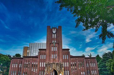 東京大学