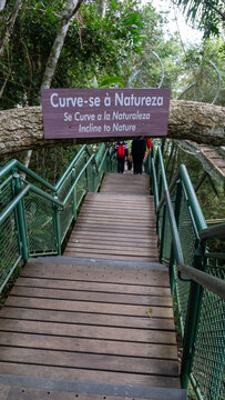 bridge, wood, wooden, path, nature, walkway, forest, stairs, water, park, landscape, tree, boardwalk, walk, footpath, beach, river, travel, green, staircase, pier, jetty, outdoors, trail, trees