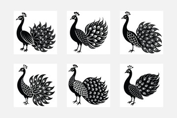 Fototapeta premium Cute peacock set Vector silhouette illustration