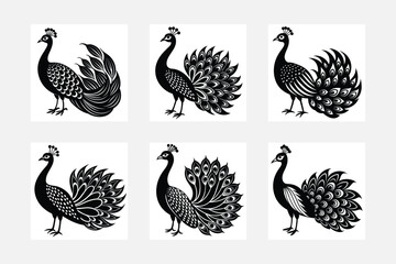 Fototapeta premium peacock silhouette image vector file
