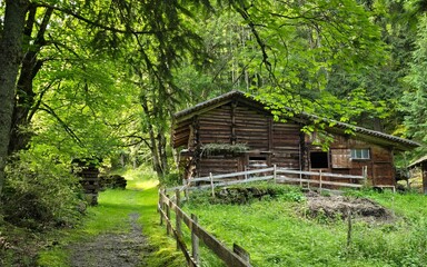 Wooden Horse Stable in Switzerland
