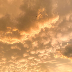 rare cloud line with sunset