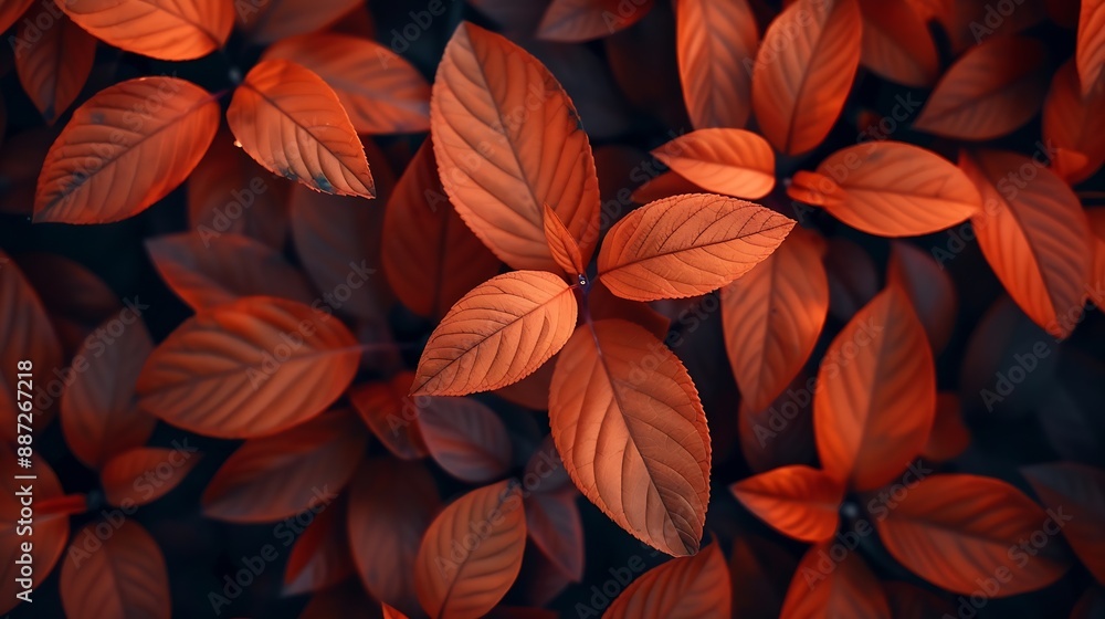 Poster background from leaves closeup in color color of the year 2024 peachy fuzz color of the year fluffy 