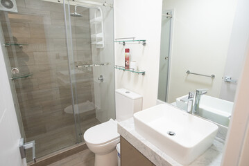 baño de departamento con fregadero y ducha