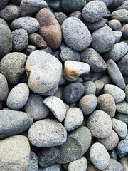 rock river stone.This photo captures the essence of the coral stone's timeless allure. Whether used in architecture, jewelry, or as a decorative piece