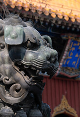 chinese lion statue