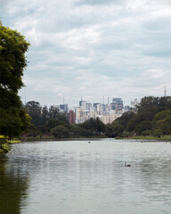 Fototapeta premium ibirapuera lake