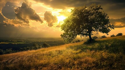 Fototapeta premium beautiful landscape backgrounds photography