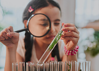 Education, girl and magnifying glass in home with plant test tube and curiosity for knowledge. Child, science project and lens for closer look for growth, development and learning in living room