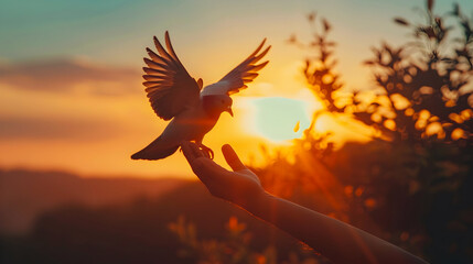 Silhouetted Pigeon Returns to Outstretched Hands in Vibrant Sunset or Sunrise Sky Representing Concepts of Freedom Merit and Spiritual Enlightenment