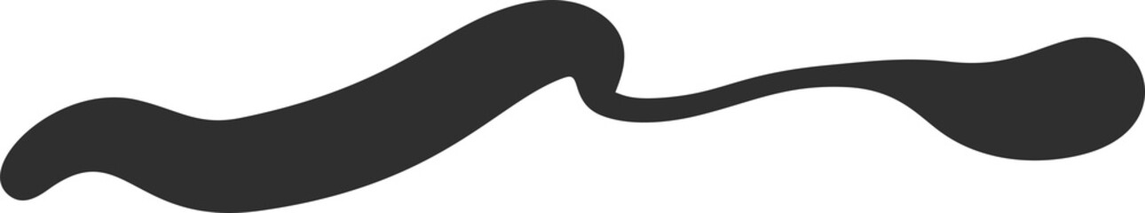 Squiggle curly line. Swoosh stroke and swirl hand drawn calligraphy swash. Decorative doodle black paint shape. Wavy flourish