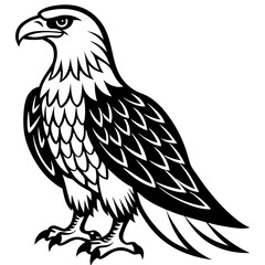 Eagle icon silhouette vector art illustration