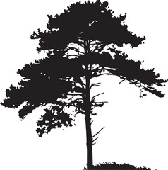 Pine tree silhouettes